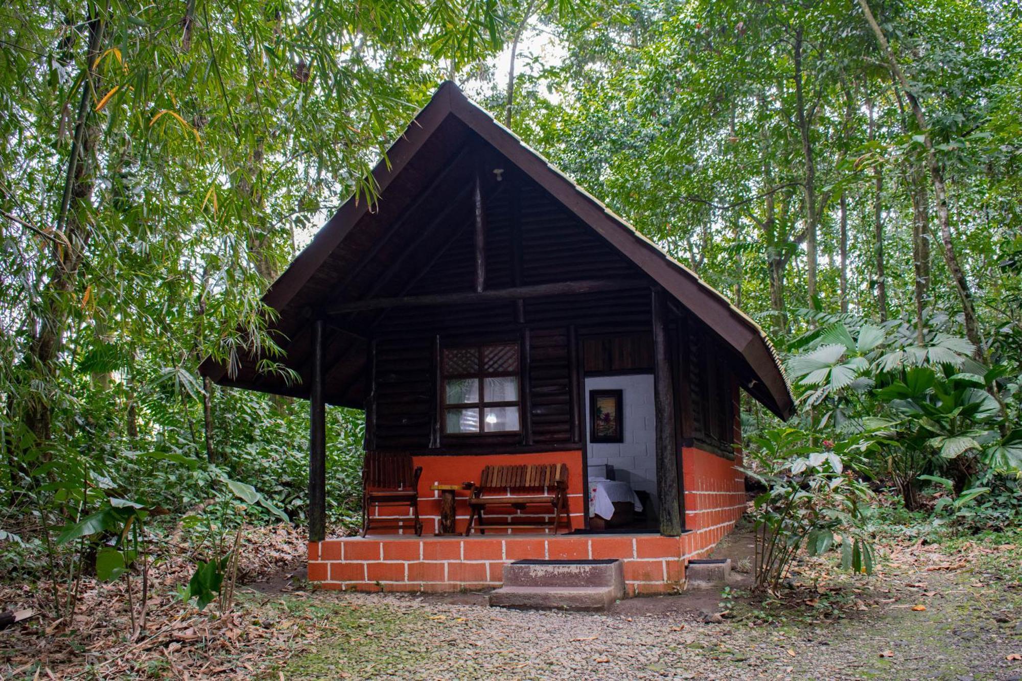 Arenal Oasis Eco Lodge & Wildlife Refuge Ла Фортуна Экстерьер фото