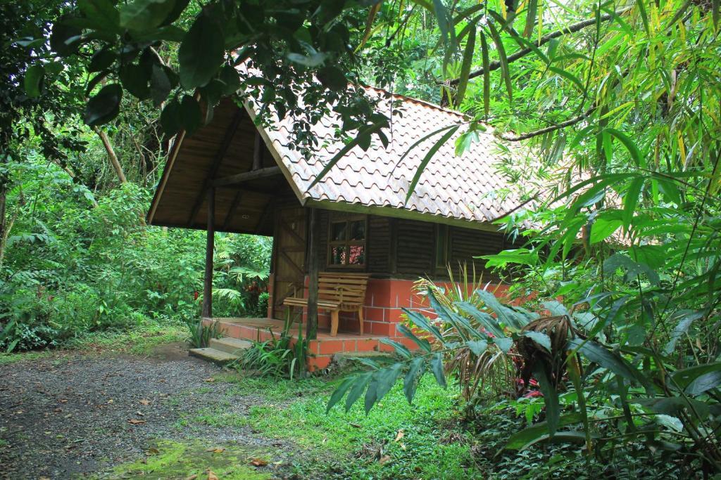 Arenal Oasis Eco Lodge & Wildlife Refuge Ла Фортуна Номер фото